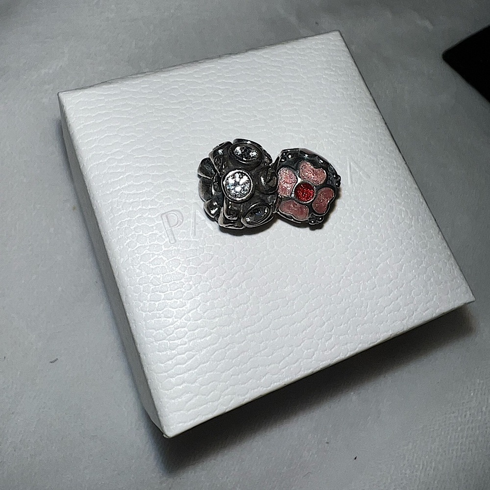 Bundle of Pandora Charms